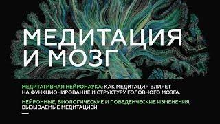 Медитация и мозг: что известно науке о воздействии медитации на мозг?