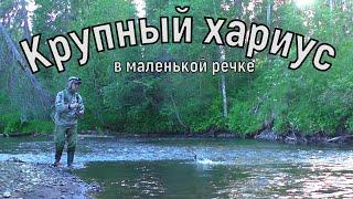 КРУПНЫЙ ХАРИУС НА ТАЁЖНОЙ РЕЧКЕ.РЫБАЛКА НА СПИННИНГ В ТАЙГЕ.