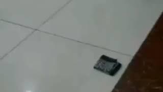 Хозирги  жалаблар