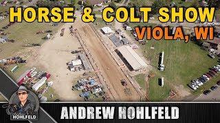 Horse & Colt Show 2017 (Viola, WI)