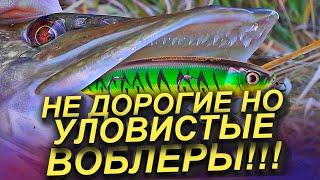 ТОП НЕДОРОГИХ ВОБЛЕРОВ НА ЩУКУ СУДАКА И ОКУНЯ 2024-2025! ЛУЧШИЕ ВОБЛЕРЫ НА ЩУКУ! РЫБАЛКА НА СПИННИНГ