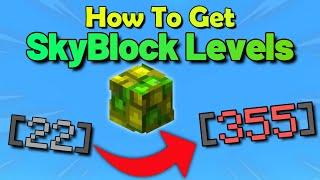 Get Hypixel SkyBlock Levels FAST / Hypixel SkyBlock Guide