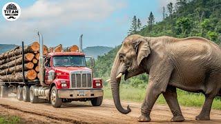 Extreme Dangerous Big Logging Wood Truck Driving Skill | Fastest Chainsaw Cutting Tree Machines #7