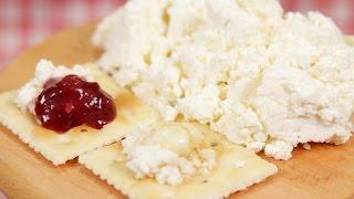 Homemade Fresh Cheese Recipe (Quick and Easy Cheese Made from 3 Ingredients)