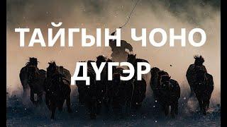 ТАЙГЫН ЧОНО ХОЧИТ ДҮГЭР /ХУУЧ ЯРИА /САЙН ЭР /ГЭМТ ХЭРЭГ