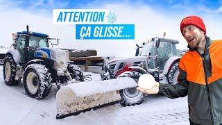 DÉNEIGEMENT ET TRANSPORT DES VACHES, c'est limite...