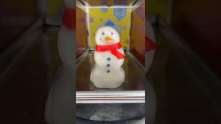 SNOWMAN FREEZE DRY!!! ️