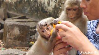 While Baby Zuri was very hungry & drank KT's Milk, But Rainbow Made It Difficult For Her To Drink.