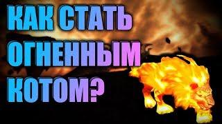 КАК СТАТЬ ОГНЕННЫМ КОТОМ ? 