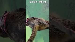 오늘은 깡총깡총 토끼데이~~