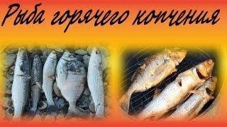 Рыба горячего копчения  Hot smoked fish