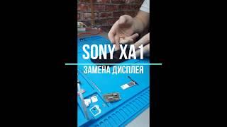 СЕКРЕТ ЗАМЕНЫ ДИСПЛЕЯ SONY XA1 (G3116)