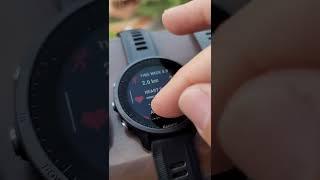 Garmin Forerunner 955 Standard vs 955 Solar touch screen