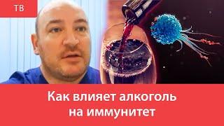 Как влияет алкоголь на иммунитет