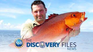 Future of Fishing #science #news #fishing