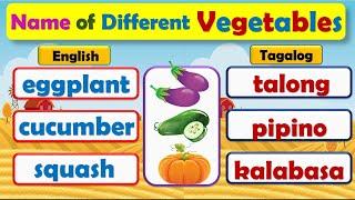 Vegetables || English and Tagalog || Learn the different name of vegetables