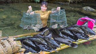 How To Trap Stream Fish With Natural Snail Bait, Using Bamboo Boats To Transport Fish