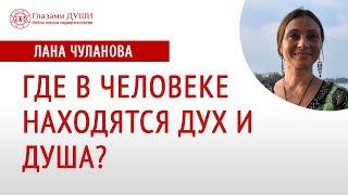 Где находится душа в человеке | Где находится дух в человеке | Глазами Души