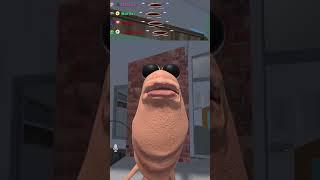 Seems legit Marcus | #roflgator on #Twitch