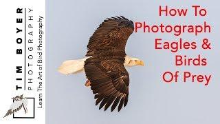 How to Photograph Eagles and Birds of Prey