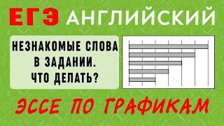 ЕГЭ английский. Незнакомые слова в теме эссе на основе таблиц и диаграмм.  Что делать?