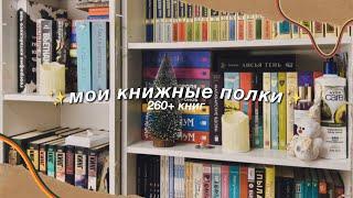 МОИ КНИЖНЫЕ ПОЛКИ 2024 || 260+ КНИГ  || ti delly