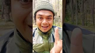 SURVIVAL SKILLS: Nature is Healing in Forest  #outdoors #camping #survival #bushcraft #lifehack