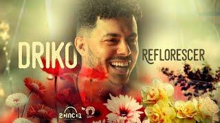 Reflorescer | DRIKO