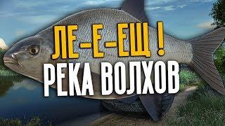 РУССКАЯ РЫБАЛКА 4. Фарм серебра на реке Волхов. Ловим леща в междуречье.