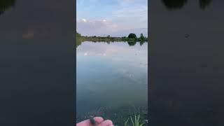 Деревенские будни #village #derevenski_parenek #fishing