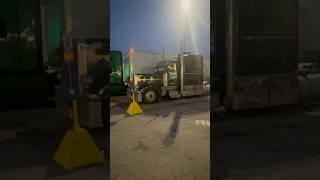 One owner Peterbilt looking good #trucking #semi #peterbilt #shorts #fyp #trucker #driver #nice #otr