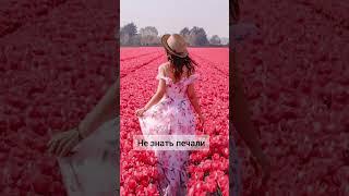Стих маме на день рождения. Поздравление для мамы #стихмаме #маме #мамочка #деньматери  #люблю #отец