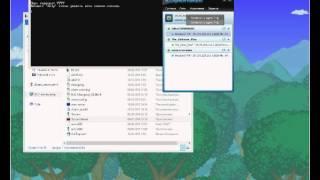 Как поиграть в Террарию по сети через хамачи