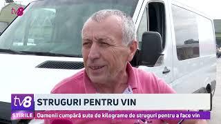 Struguri pentru vin. Oamenii cumpără sute de kilograme de struguri pentru a face vin