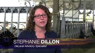 Technology in Dairy (10/17/20)