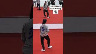 Tai Chi Walking is Cat Walking