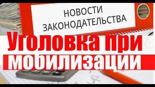 ️Уголовка и Призыв по мобилизации 2025. ️Новые ЗАКОНЫ 2025 #армия #призыв #военкомат #мобилизация