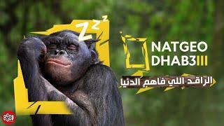 الراقد اللي فاهم الدنيا - NAT GEO DHAB3II