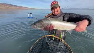 Yep, fly fishing off of ladders for large cutthroat trout