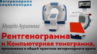 Рентгенография и Компьютерная Томография. Применение в общей практике