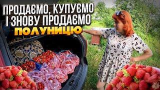 Наш бізнес на полуниці  ДОВЕЛОСЯ ВИКУПЛЯТИ СВОЮ ПОЛУНИЦЮ Скільки можна заробити на полуниці в селі