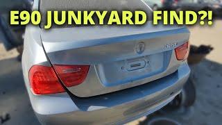 BMW Junkyard HUNT (Budget E90 LCI Upgrade?)