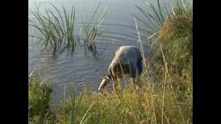 Интересные приманки Выпуск 1. "Водяной червь"