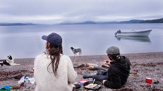 Coastal Off-Grid Homestead – Our First Sheep Shearing by Hand