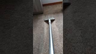 3 Hours Of Carpet Cleaning Helps You Sleep Well - For Deep Sleeping, Relaxing, Stress Relief