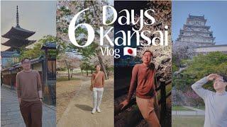 Solo Travelling Kansai Region in Japan  (Osaka, Kyoto, Uji,  Nara, Himeji, & Kobe)