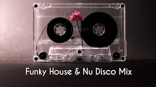 Nu Disco & Funky House Mix 2025 / Live by DJ Iglezias