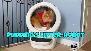 Pudding’s Litter-Robot 4