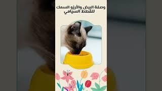 #shorts وصفات منزلية لاكل قطط السيامي مفضل (وصفة البيض والأرزو السمك للقطط السيامي)