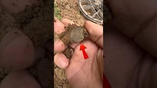 Поиск КЛАДА! #shortvideo #metaldetecting #золото #коп #coin #клад #Находка #поиск #сокровище #short